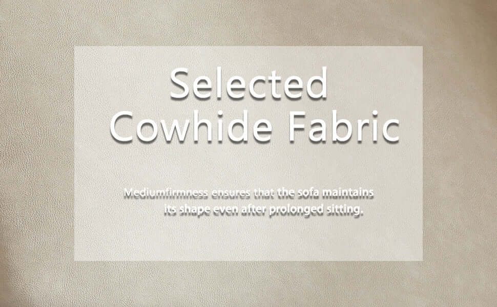 WKS5G Elegant beige leather main color, the sofa presents a calm and elegant appearance