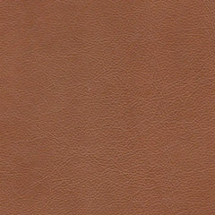 VINCENT Mid-Century Tufted Leather Sofa