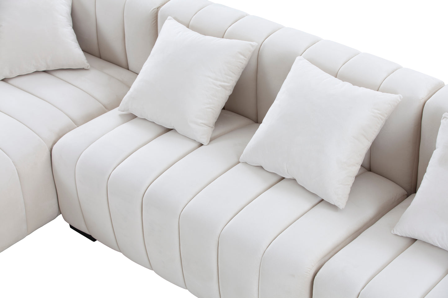 THE CHARLESTON SECTIONAL